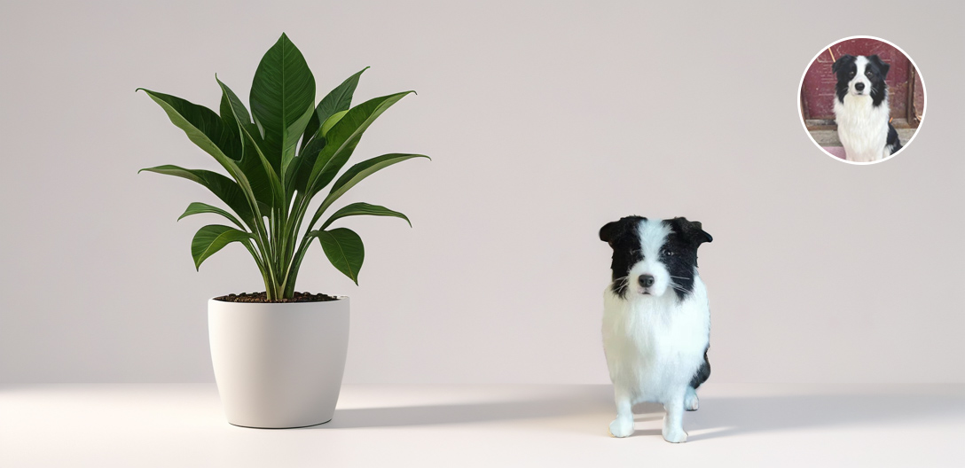 A realistic wool felt model of a dog sitting next to a potted plant, with an inset of the real dog in the top right corner.