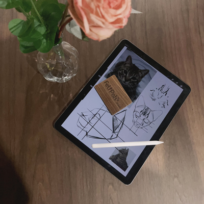 A tablet on a wooden table displaying sketches and photos of a cat for FeltPals, with a stylus resting on the screen and a vase with a pink rose beside it.