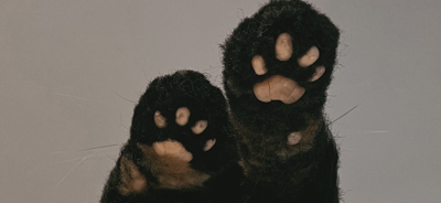 A close-up view of two black wool felt cat paws with pink pads, showcasing intricate needle felting work.