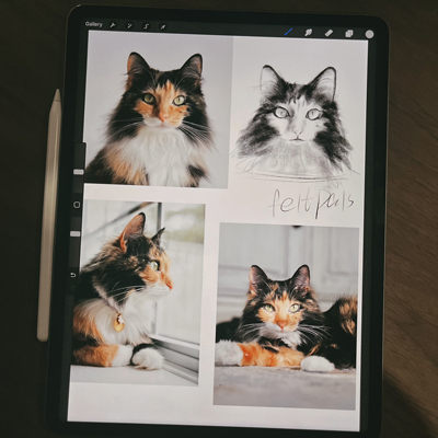 A collage of three photos of a white cat with black markings and heterochromatic eyes, along with a sketch of the same cat labeled feltpals. The cat is shown gazing out a window, sitting by a curtain, and in a portrait view.