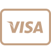 visa logo