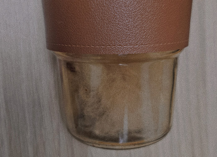 Cat hair collected inside a transparent glass cup, partially covered by a brown leather sleeve, placed on a light wooden surface.