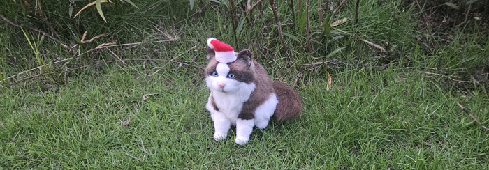 A realistic felted wool cat with blue eyes sits on grass, wearing a small red Santa hat.