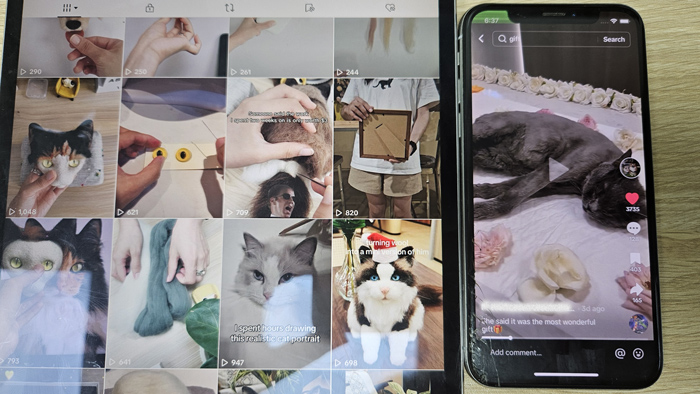 A tablet and a smartphone are placed side by side. The tablet displays a gallery of videos featuring various cats, while the smartphone shows a TikTok video of a shaved cat lying on a bed decorated with flowers.